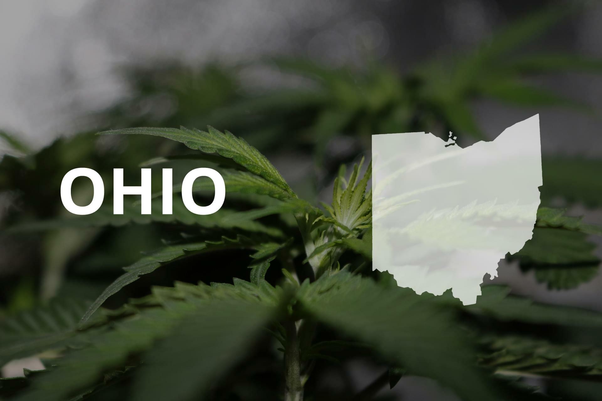 Ohio docs writing recs for patients to buy medical marijuana in Michigan before rules ...1920 x 1280